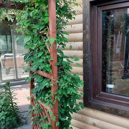 Black Sea Treasure 3 Apartment *
